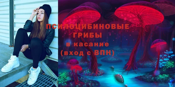 СК Абаза